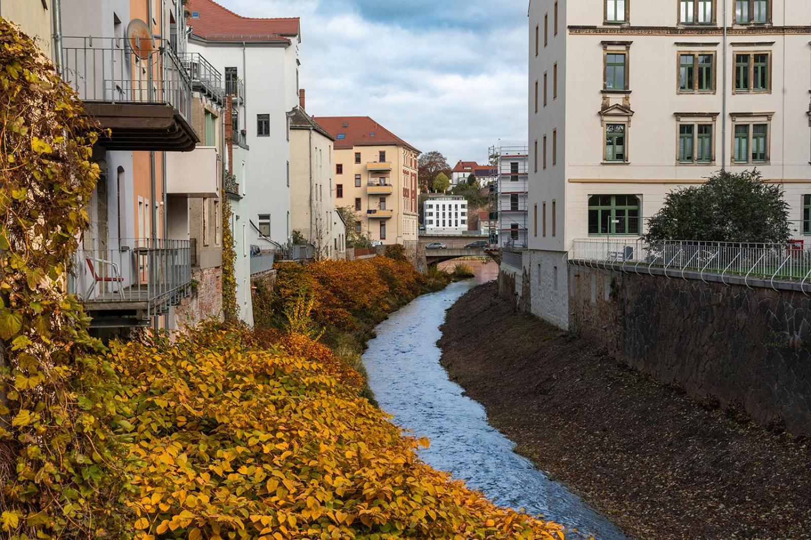 Benville Meissen - Free Parking - Nespresso Kaffee - Stylisch Eksteriør bilde